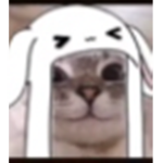 Noodle Squad Offical