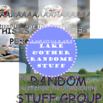 Random Stuff Group (Makers of LaORS)