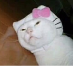 dimondgirl_1236