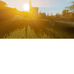 The Meadow