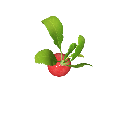 Red radish