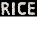 Welcome to Rice Field!