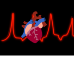 The official Heart Squad