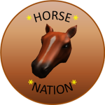 *Horse Nation*