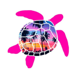 Turtle Studios
