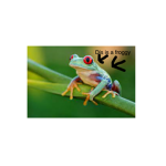 Best frogs forever