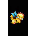 Cute birdies