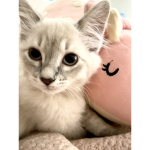 My seller<3
