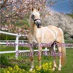 The Horses and Ponies Group of Roblox
