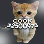 Сook