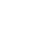 Digifish