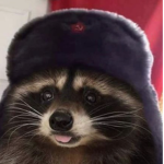 P0P$