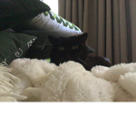 Kool Kittens