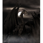 Black wards