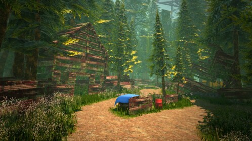 Forest