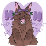 Rockclan Staff Group