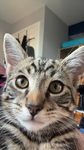 Donation help :)