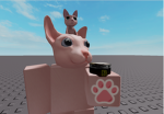 icoudy_bear