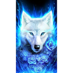 MidnightWolf Clan!