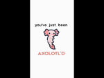 THE AXOLOVERSS