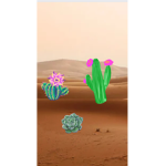MECACTUS