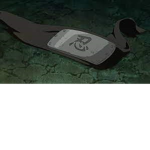 Shinobi_Alliance