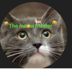 The meow master fan club