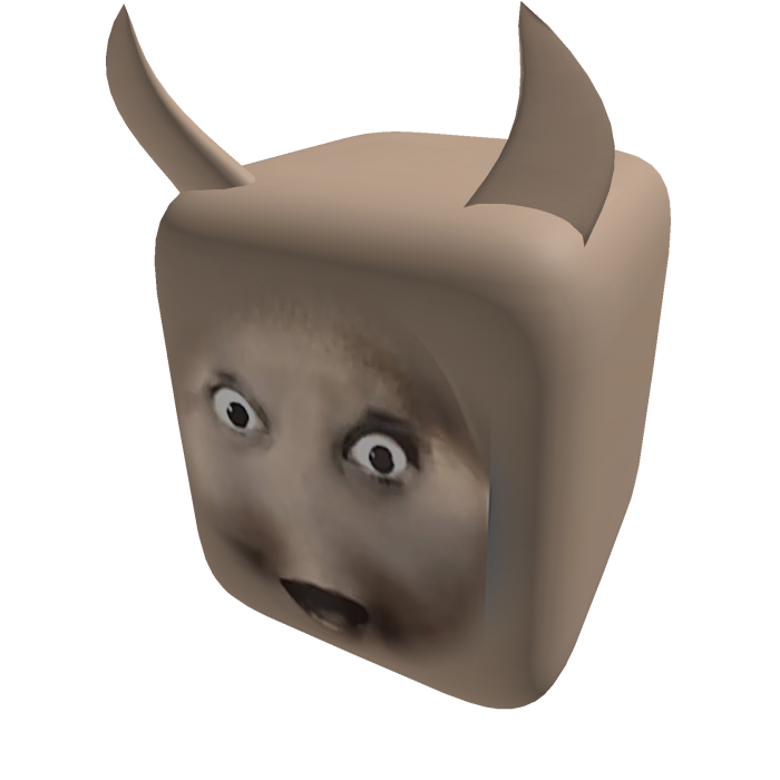Shocked Cat Head