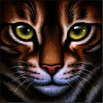 Chaos cats of doom