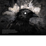 dark crow shadow