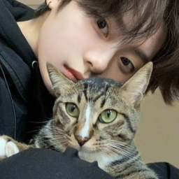 ⋆˚࿔🐈