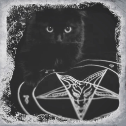 ⛧🐈‍⬛