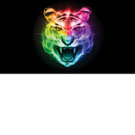 RAINBOWBOYYZ