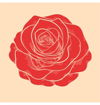 Preppy roses!