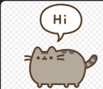 The slay pusheen group