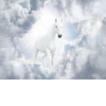 "Dawn Of The Horses"