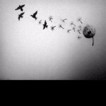 Fading Memories [2nd]