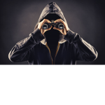 Stalker Nation