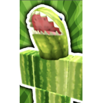 Watermelon shark land