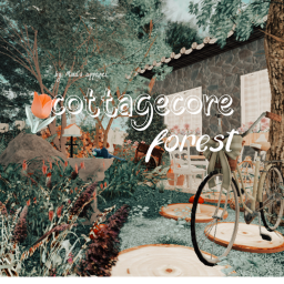 🌷｡˚ cottagecore forest *｡