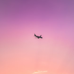 United Airlines Hub