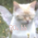 90s bb