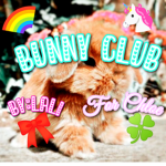 {Bunny Club}