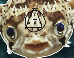 Therian Hopes Group Thumbnail