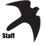 iKestrel Obby Staff ®