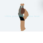 Little greys gymnastics team