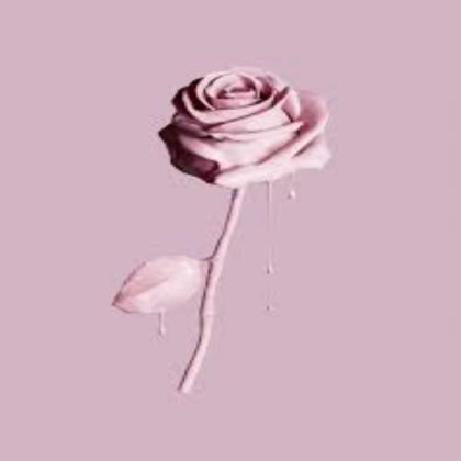 pink aesthetic Roblox decal