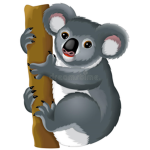 #Koala’s For Love