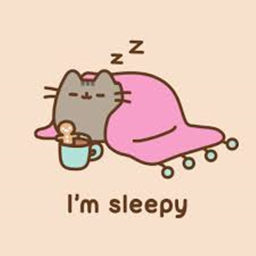 Pusheen's Vibe place