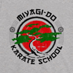 Miyagi Do Karate Dojo